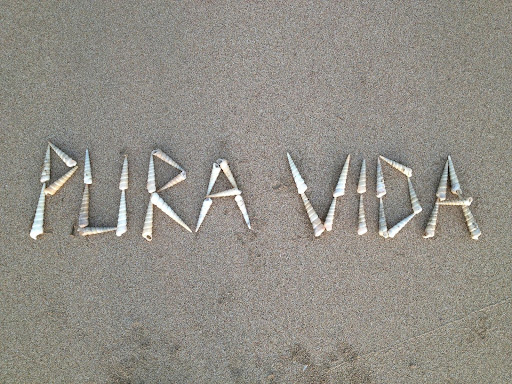 PURA VIDA written in the sand on the beach with shells